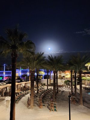 Fairmont Scottsdale Princess by null