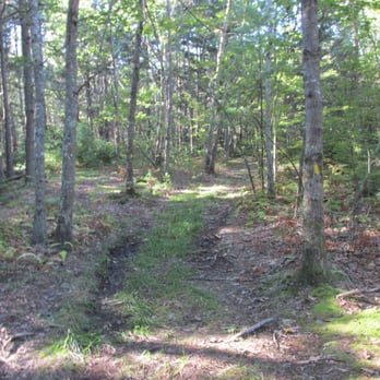 School House Pond Preserve - Smells great in the woods - Parks Near Me - Boothbay, Maine