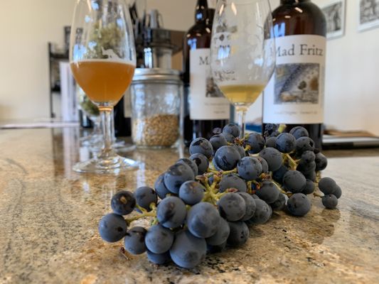 Mad Fritz Brewery and Malthouse -By Appointment by null