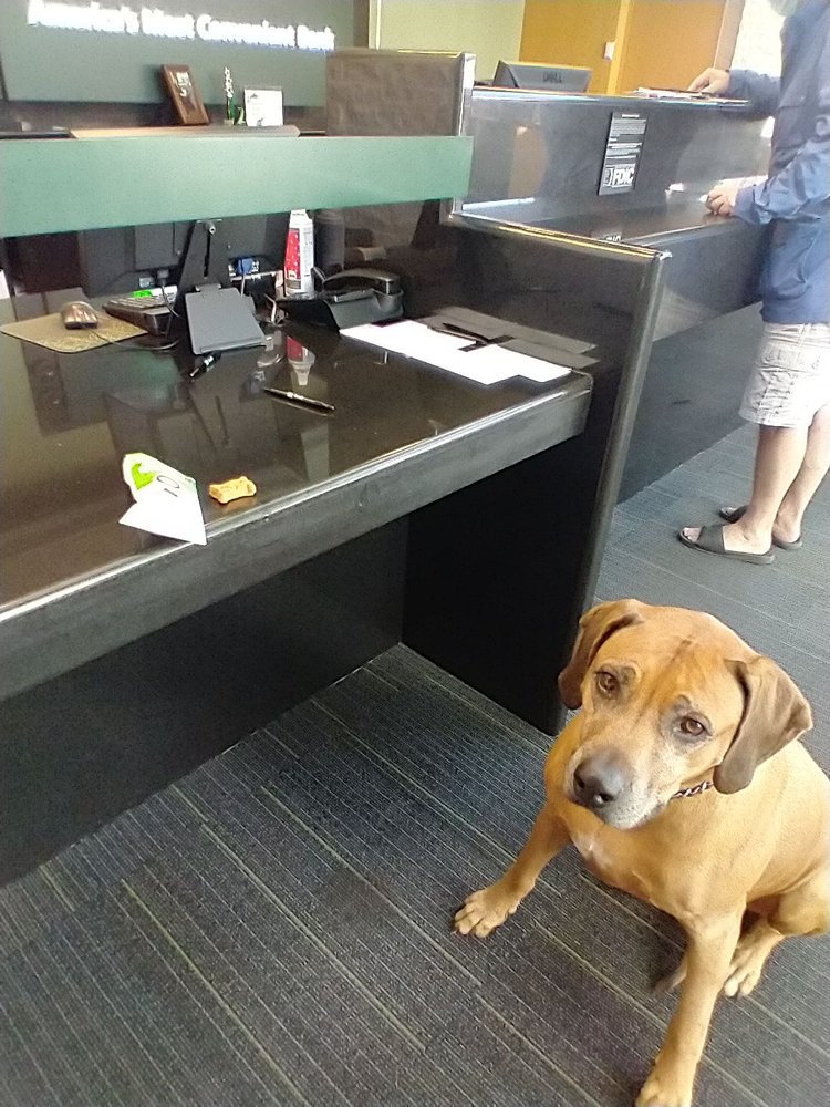 TD BANK 10110 Metropolitan Ave, Flushing, New York Banks & Credit