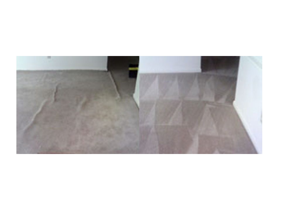 ABSOLUTE CLEAN CARPET & UPHOLSTERY Updated October 2024 20 Photos