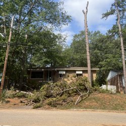 Taylor's Treescapes - Leftover debris left by Joshua Taylor