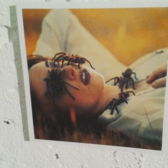 Gallery 151 - Girl with Tarantulas on her face. - Art Galleries Near Me - New York, New York