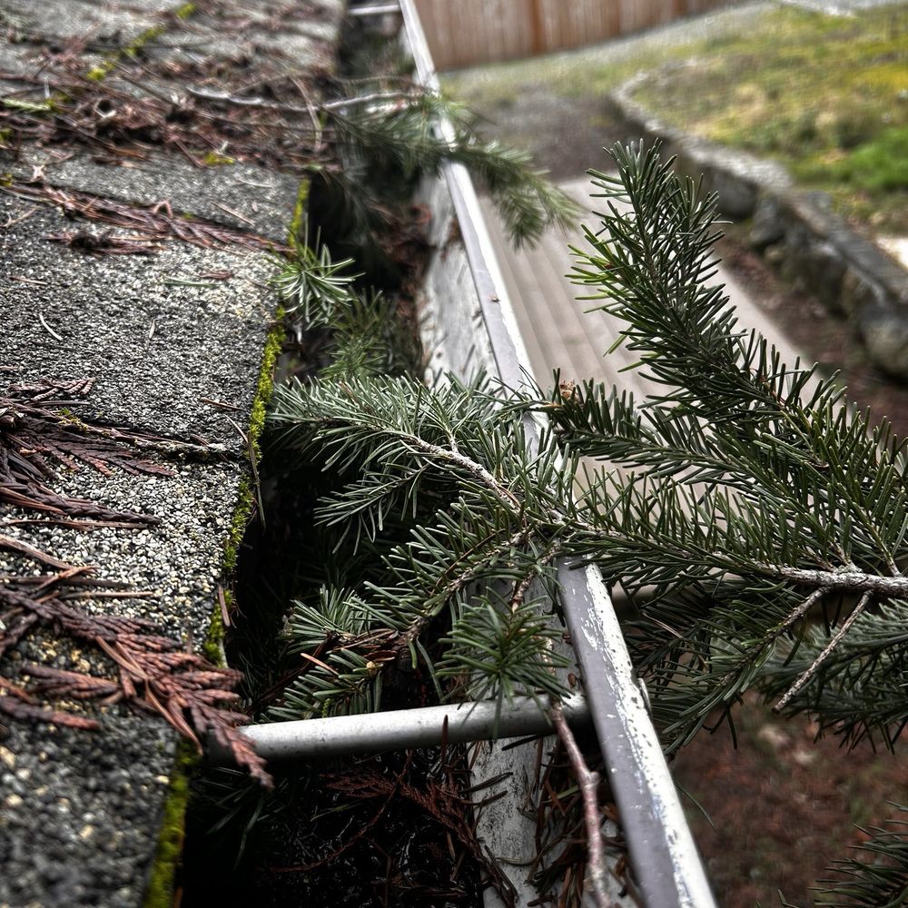 Camacho Home Services - Before - Landscaping Near Me - Mount Vernon, Washington Camacho Home Services - Before - Landscaping Near Me - Mount Vernon, Washington