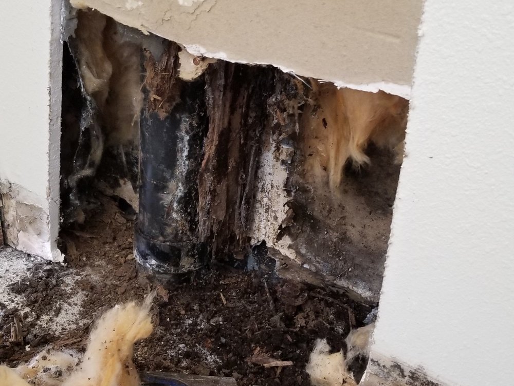 MEADOWLARK COURT Updated September 2024 721 Meadowlark St, Myrtle