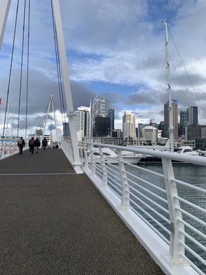 Auckland Fish Market by null