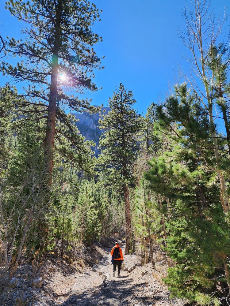 Trail Canyon Trail Logo