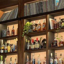 The Ibis Bar - Bar area