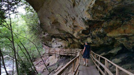 Audra State Park by null