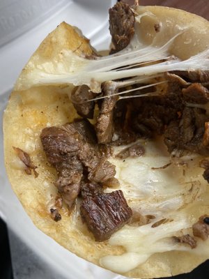 EL PATRON TAQUERIA by null