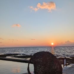 TRS Yucatán - Salt water pool sunrise