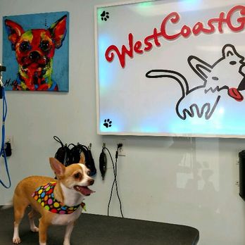 West Coast Groomers - Pet Groomers Near Me - Naples, Florida West Coast Groomers - Pet Groomers Near Me - Naples, Florida