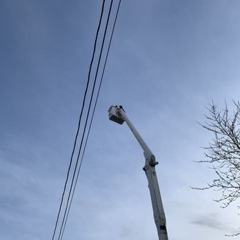 Brown’s Bucket Truck & Tree Services - Tree Services Near Me Brown’s Bucket Truck & Tree Services - Tree Services Near Me