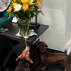 Sandy Flower Shop