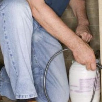 Pest-X Termite and Pest Control - Pest-X - Pest Control Near Me Pest-X Termite and Pest Control - Pest-X - Pest Control Near Me