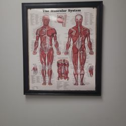 Tabs Therapeutic Touch