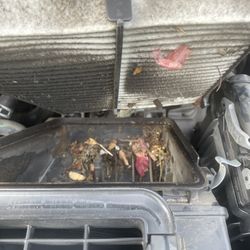 Jiffy Lube