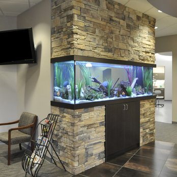 Aquarium Service Professionals - Aquarium Services Near Me Aquarium Service Professionals - Aquarium Services Near Me