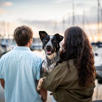 Dog Inspired Photography - Pet Photography Near Me