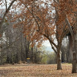 Suicide Flats DGC at Hart Memorial Park - Hole 17 basket