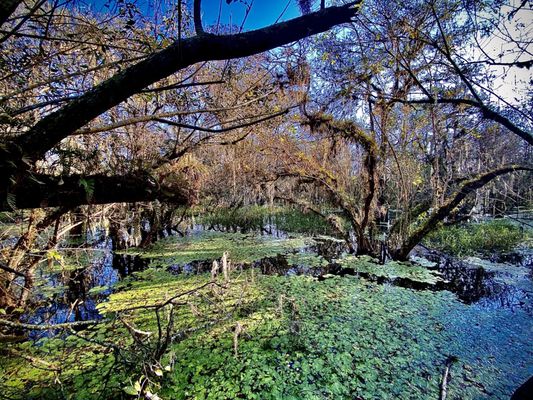Kirby Storter Roadside Park by null