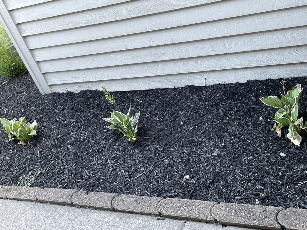 WL Landscaping & Cleaning - tree service in Indianapolis, IN