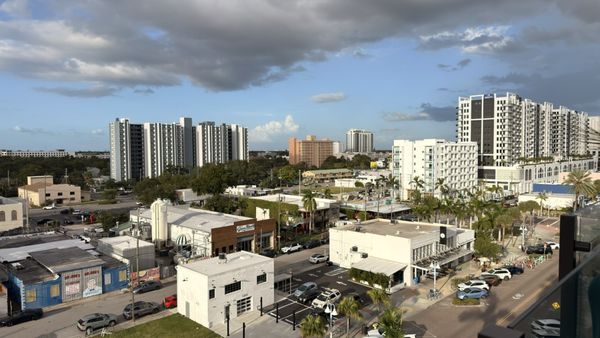 Sparrow St Pete by null