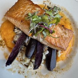 Salmon, carrots, wild rice, squash Salmon, carrots, wild rice, squash