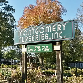 Montgomery Nurseries - Nurseries & Gardening Near Me - Bryn Mawr, Pennsylvania Montgomery Nurseries - Nurseries & Gardening Near Me - Bryn Mawr, Pennsylvania