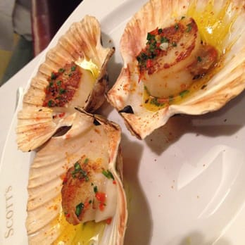 Scott's - Seared scallops - Seafood Near Me - London, XGL