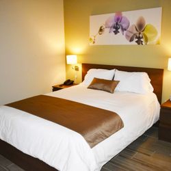 California Comfort & Suites - Junior Suite
Spacious Room
Netflix
Kitchennete
Queen size Bed