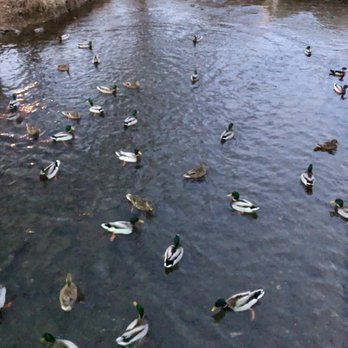 Brown Park - Parks Near Me - Louisville, Kentucky