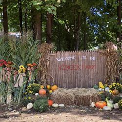 Vincek Farm - Halloween decor and displays
