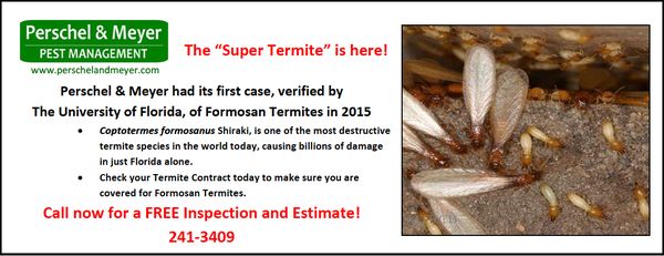 Perschel & Meyer Pest Management