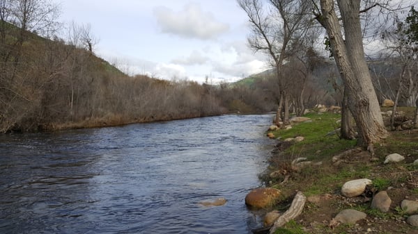Sequoia Campground & Lodge by null
