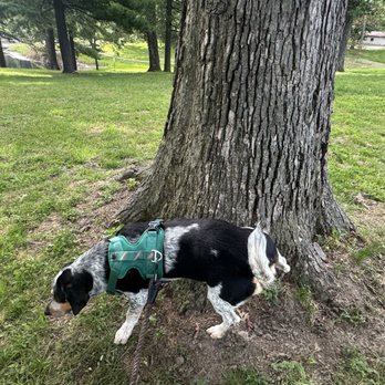 Wild Acres Park - Parks Near Me - Overland, Missouri Wild Acres Park - Parks Near Me - Overland, Missouri