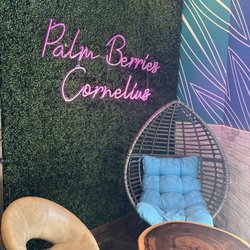 Palm Berries