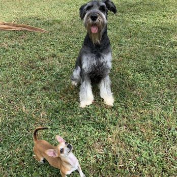 PetSmart - Pet Training Near Me - Boynton Beach, Florida PetSmart - Pet Training Near Me - Boynton Beach, Florida