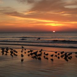 Club Wyndham Westwinds - Sunrise view from the beach in front of the resort.