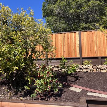 RG Fence & Gate Solutions - After - Fences & Gates Near Me