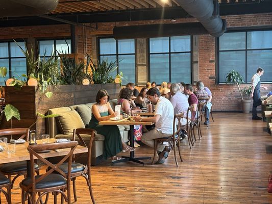 Green Dirt on Oak by null