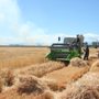 Photo of Mecca Grade Estate Malt