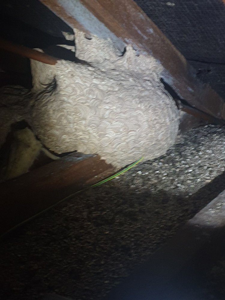 YOUR PEST ASSASSIN 1 Beechwood Rd, Chorley, Lancashire, United