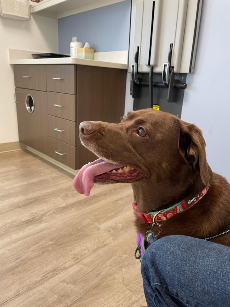 HEARTHWOOD VETERINARY HOSPITAL Updated August 2024 18 Photos & 50