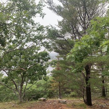 Bar Island - On the trail to the top of Bar Island - Parks Near Me