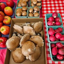 Theis Farm Market’s Evergreen Farm & Katie’s Garden - Just in...Portabella mushrooms, radishes, and South Carolina Peaches!