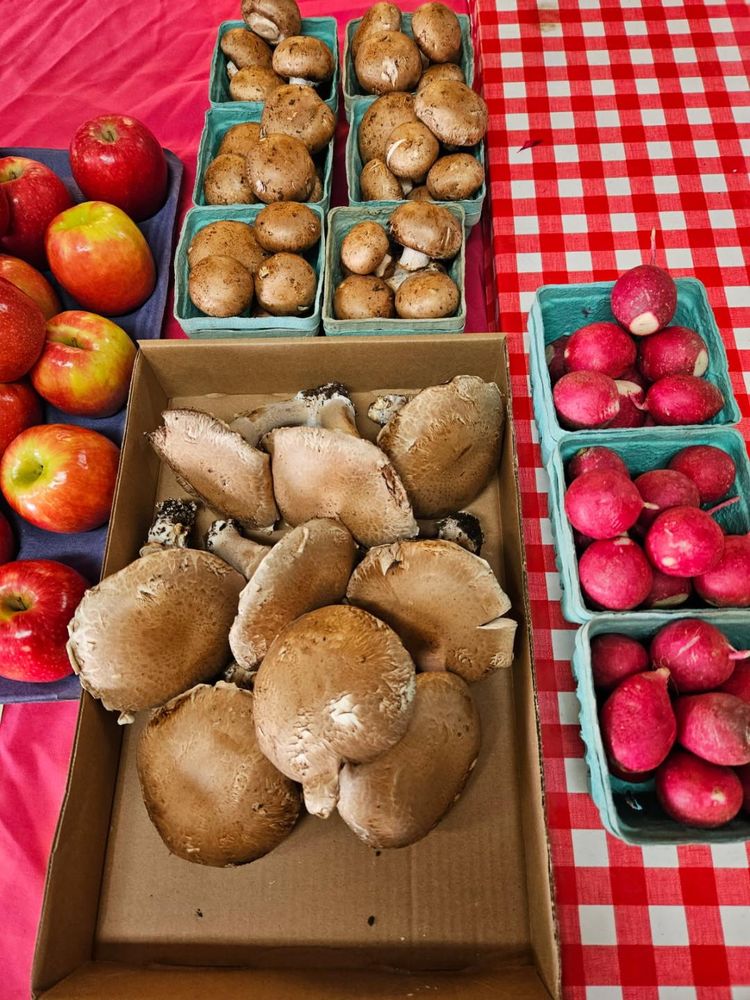 Theis Farm Market’s Evergreen Farm & Katie’s Garden Logo