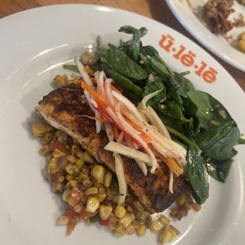 Ulele - Mahi mahi - New American Near Me - Tampa, Florida
