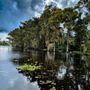 Ultimate Swamp Adventures