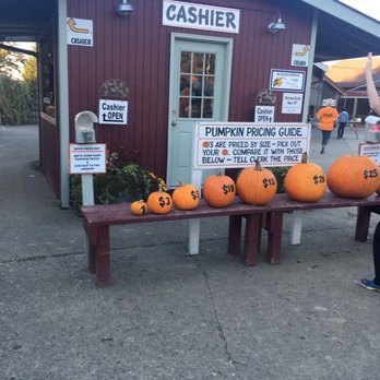 Carpinito Brothers Pumpkin Patch - Pumpkin pricing - Farmers Market Near Me - Kent, Washington
